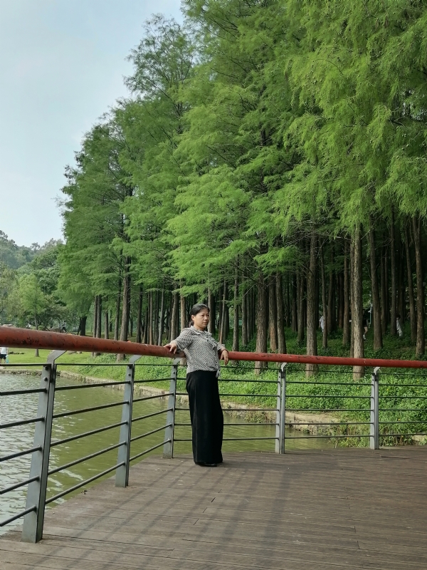 遗失的记忆的第二张照片--深圳认干亲服务网